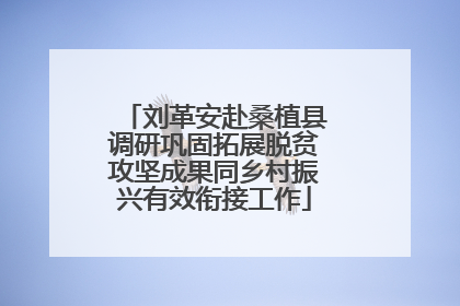 刘革安赴桑植县调研巩固拓展脱贫攻坚成果同乡村振兴有效衔接工作